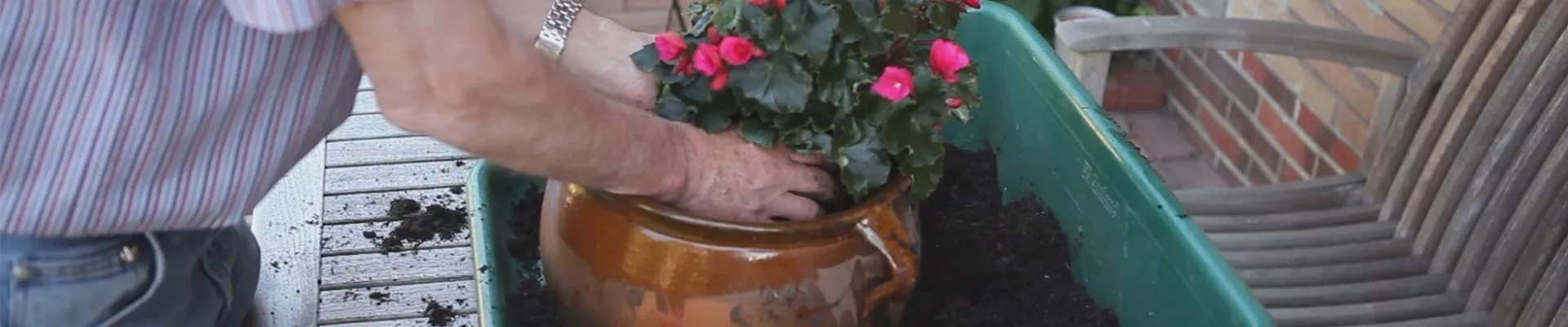 Blumenkübel - Bepflanzen mit mehreren Sommerblumen