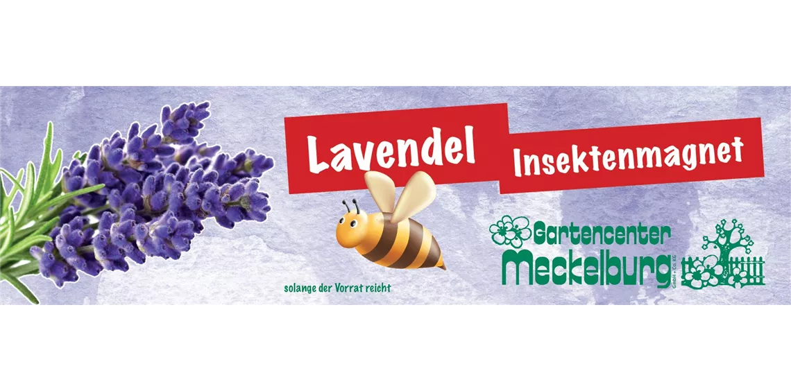 Banner_Lavendel_Sommer_2024.jpg